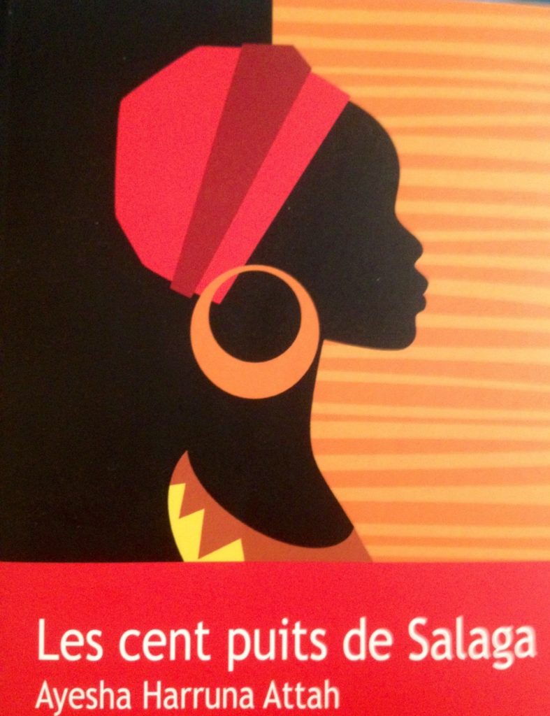 Les cent puits de Salaga : roman de femmes d'esclavage et de colonisation