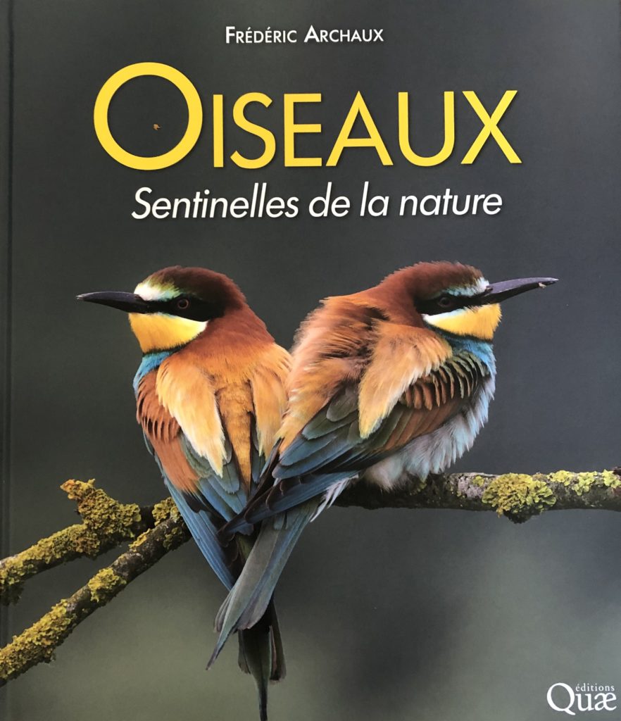 Oiseaux sentinelles de la nature : voyage au royaume des plumes