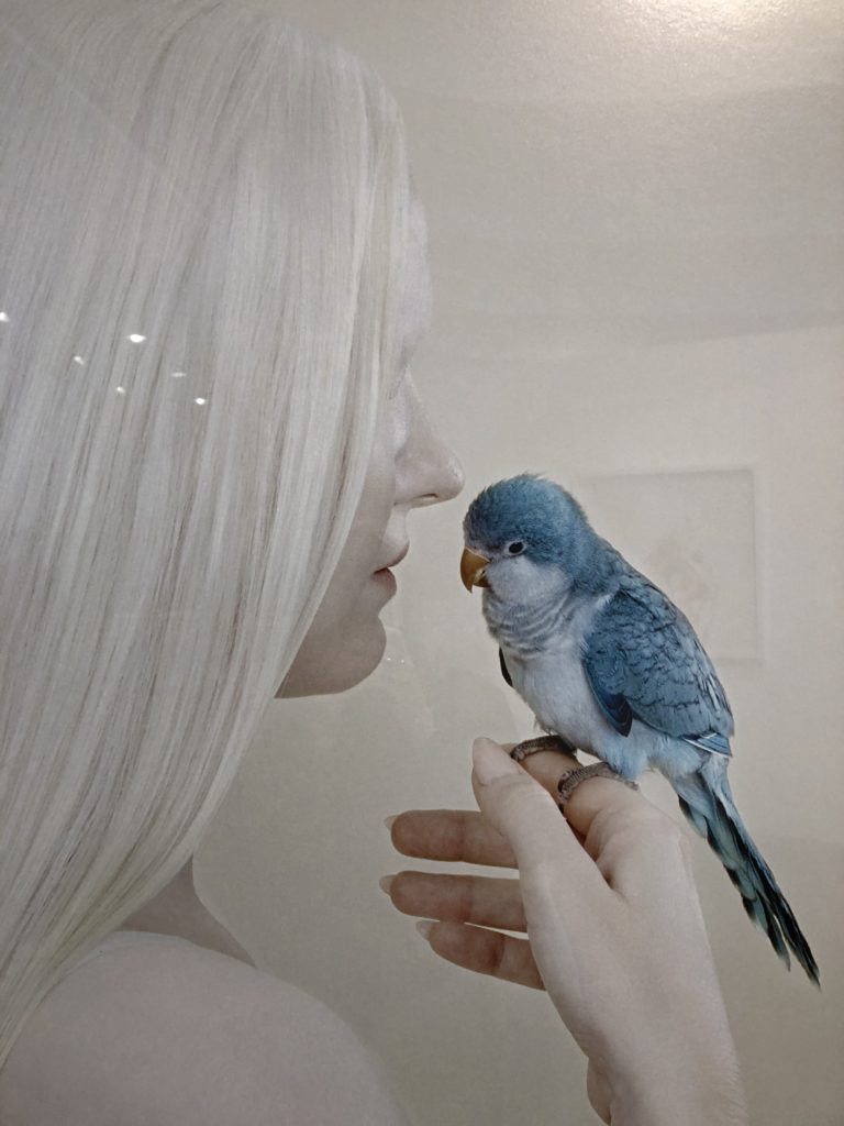 Petrina Hicks : expo troublante en Baroque Blanc oiseau