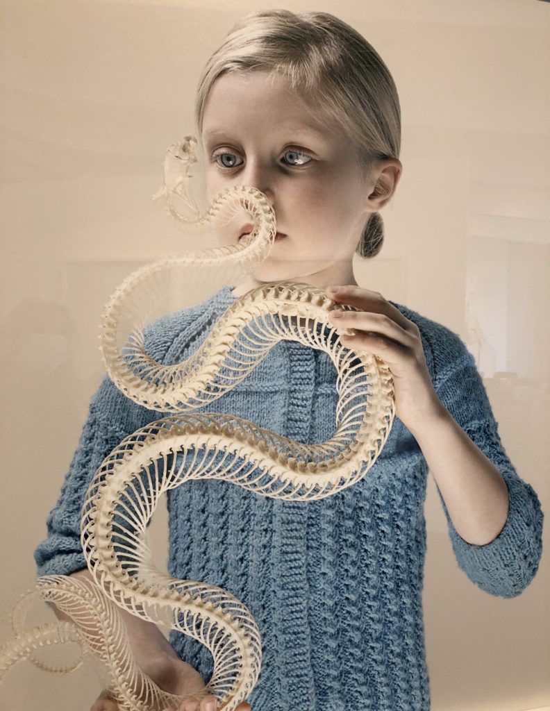 Petrina Hicks : expo troublante en Baroque Blanc serpents