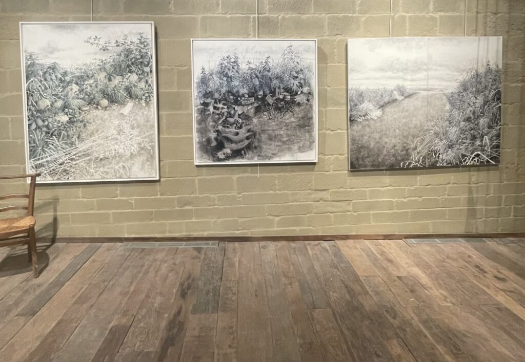 trois tableaux de Claire Illouz illustrant la beauté des marges, des friches